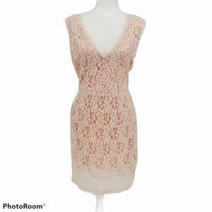 Aritzia Babaton Anton Lace Overlay Dress